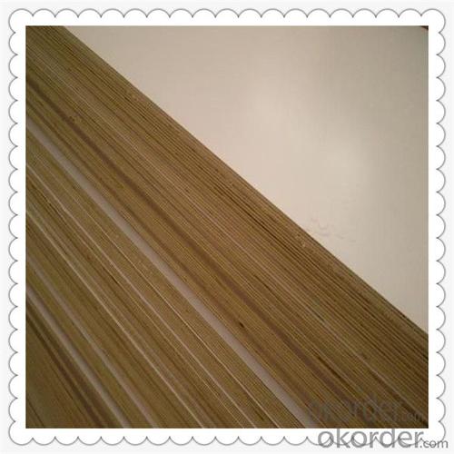 Eucalyptus Core Material Plywood of Okoume Film with High Quality System 1