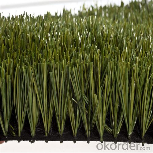 PE  Monofilament Turf Artificial Grass For Indoor Or Outdoor Soccer , Football Field System 1