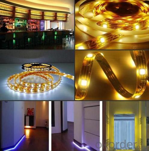 Dream Color Waterproof IP65 30led/m SMD5050 Flex LED Strip System 1