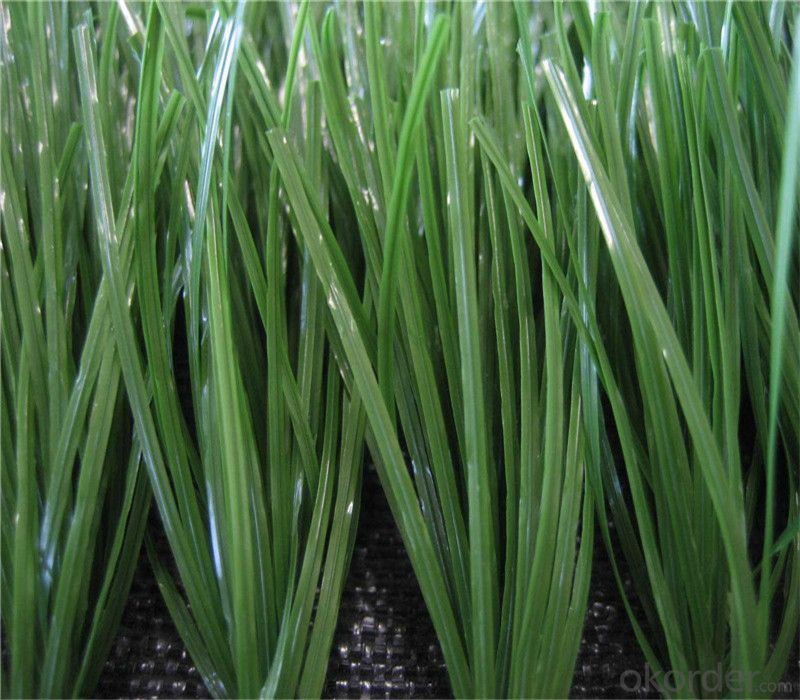 PE Football Artificial Grass , Greenl Synthetic Lawn For Soccer