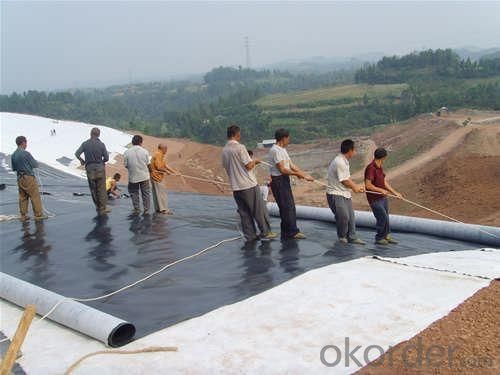 LDPE/HDPE/EVA Geomembrane Liner for Water Reservoirs System 1