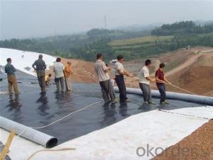 LDPE/HDPE/EVA Geomembrane Liner for Water Reservoirs