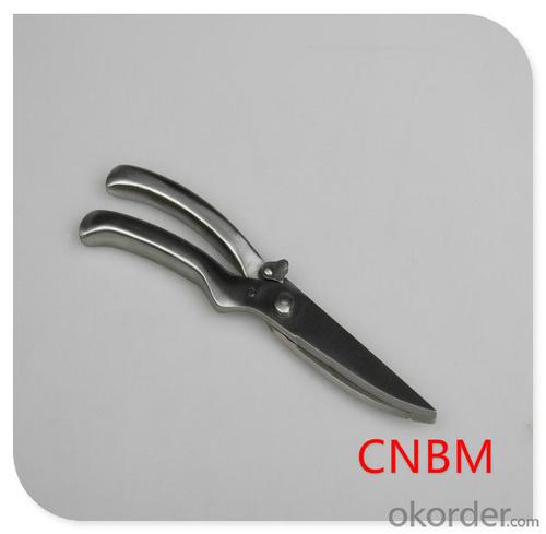 Beautiful Scissors with High Quality and Multi-function System 1