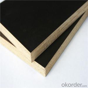 Black Film Faced Plywood 1220x2440 1250x2500