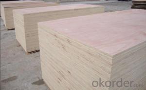 Hot Press Plywood Two Times Hot Press Made in China System 1