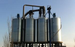 Hopper Bottom Galvanized Grain Steel Silo Used for Storing Rice System 1