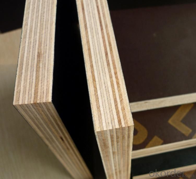 Buy Construction Plywood Sheet Film Faced Plywood Price 