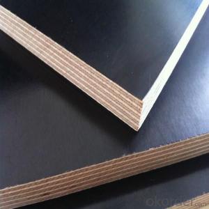 18mm Black & Brown Construction Film Faced Shuttering Plywood