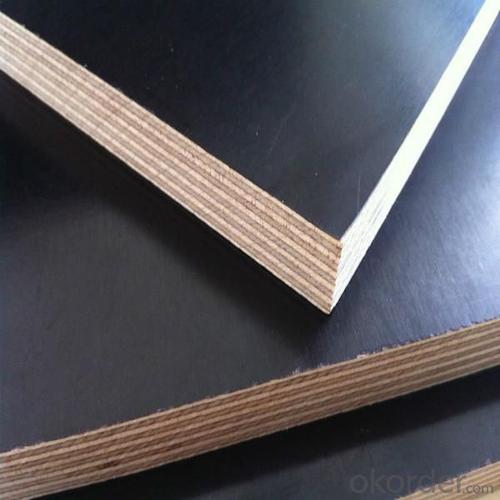 Film Faced Plywood 18mm Different Types Glue System 1
