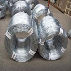 Galvanized Iron Wire/Galvanized Binding Wire Hot Dipped and Electro Galvanized System 1