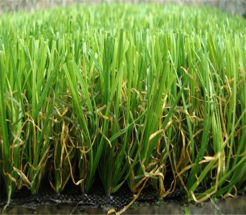 Curly Yarn Green Turf Landscaping Artificial Grass For Villa , Home Garden System 1