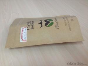 Stand Up Craft Paper Laminated MPET Printed Bag for Packing System 1