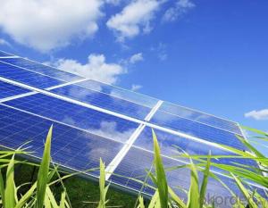 320W Mono and Poly 260-320W Solar Panel CE/IEC/TUV/UL Certificate Non-Anti-Dumping Solar Cells
