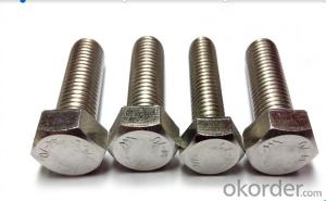 304/316 Stainless Steel Hex Bolt Standard and Nonstandard Size