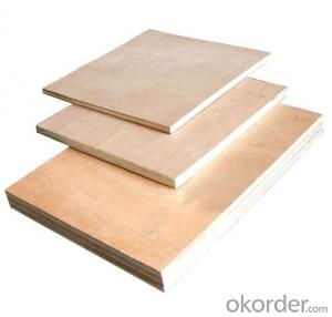 Good Quality Film Plywood with Best Price in China Used in Construction