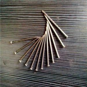 Polished Bright Common Nail for Construction Factory Price System 1