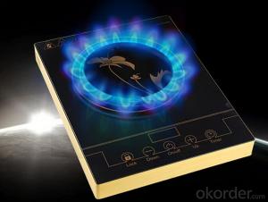 Home Appliance High Quality Energy Save Induction Cooker