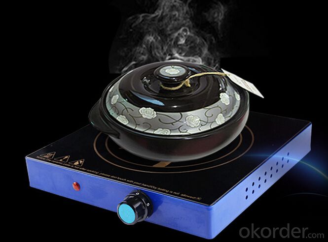 Ceramic Plate Induction Cooker Popular and High Quality System 1