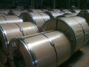 Hot Dip Galvanized Steel Sheet in Coil Good Price System 1