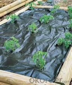 PP Garden Weed Control Ground Cover  Mat