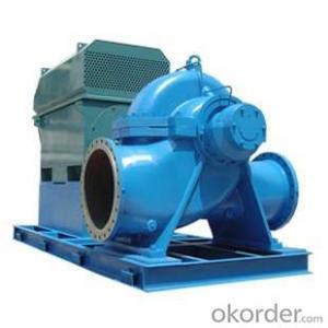 Double Suction Agricultural Irrigation Water Pump