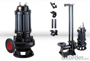 WQ Series Sewage Vertical Centrifugal Water Pump System 1