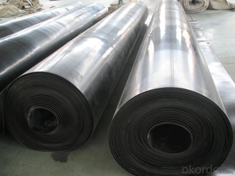 Geomembrana 0.8 mm of HDPE for The Tank Made in China