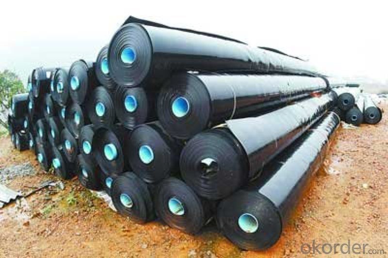 Geomembrana 0.8 mm of HDPE for The Tank Made in China