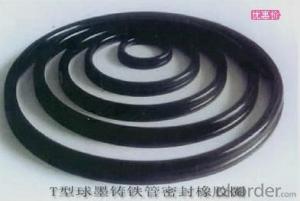 Gasket Rubber Ring EPDM DN250 on Sanitary System 1