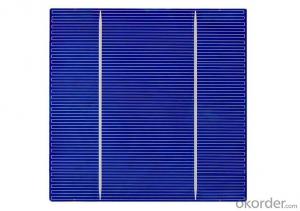 255W Solar Panels 230W-320W with High Efficiency Best Price System 1
