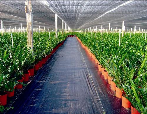 Clear Plastic Hair Net Ground Cover Weed Mat PP Woven Fabric for Agriculture and Greenhouse System 1