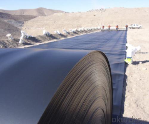 Pe Geomembrane 0.5 mm HDPE for Dam - Made in China System 1