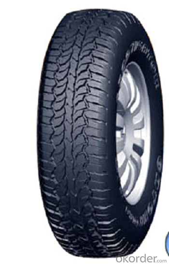 Passager Car Radial Tyre A929 High Speed