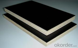 Black Film Faced Plywood  Shuttering Plywood Construction Plywood 18mm