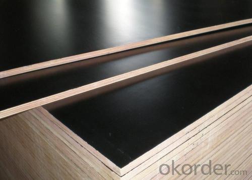 Construction grade black film faced plywood price System 1