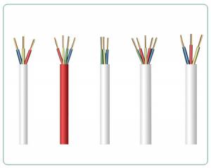 XLPE Insulated and PVC Sheathed Low Voltage Power Cables System 1