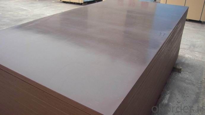 Black Film Faced Plywood  Shuttering Plywood Construction Plywood 18mm