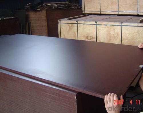 Home Depot 3/4 Black Film Faced Plywood for Concrete Formwork MR Glue System 1