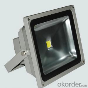 Bridgelux Chip Meanwell Driver ip65 Outdoor 50w Led Flood Light