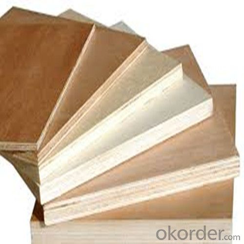 Plywood, Construction Plywood with High Quality