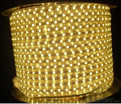 Flexible LED Strip Rgb/White/Warm White SMD 5050 with CE ROHS System 1