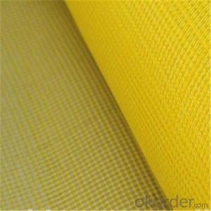 Fiberglass Mesh 2.5*2.5/Inch Fabric Resistant Leno