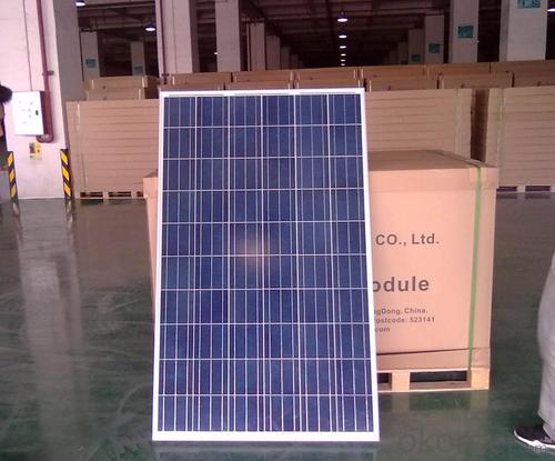 Ground Mounted Polycrystalline Solar Panels 120W Hot Selling High Efficiency System 1