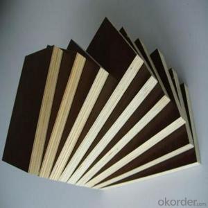 Brown/Black Film Faced Plywood for Building