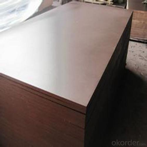 18mm Black Film Faced Plywood / Brown Film Faced Plywood System 1
