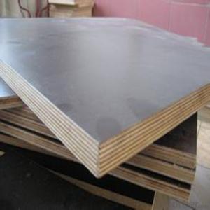 Film Faced Plywood for Construction Material