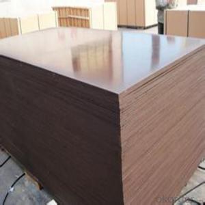 Faced Plywood 1220x2440/1250x2500 System 1