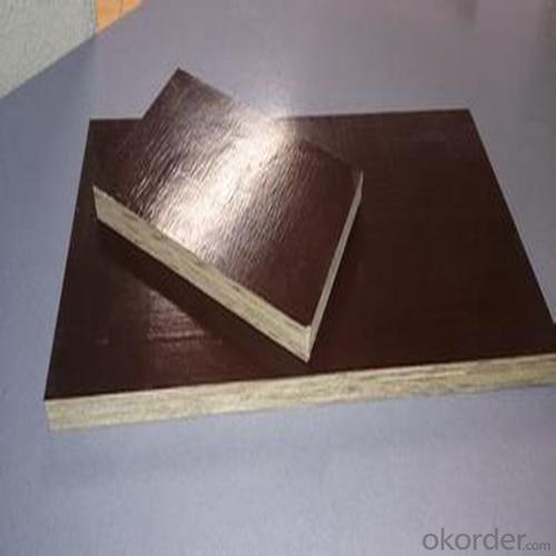 10 X 4 Film Faced Plywood for Middle East Market - Cheap Price from China Plywood Factory System 1