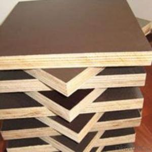 Waterproof Marine Plywood 18mm Cheap System 1