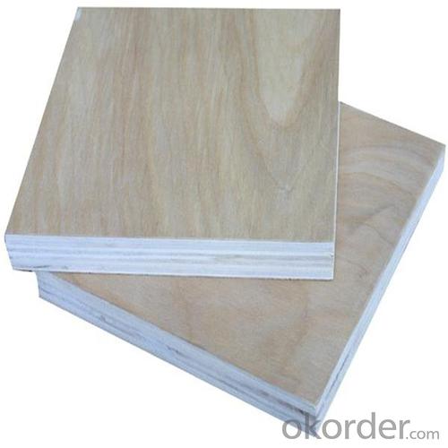 High Quality Bent Plywood Veneer Faced for Construction System 1